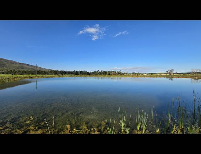 128,480M² FARM FOR SALE IN GREYTON
